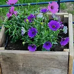 Holiday home The Grange In Cantal