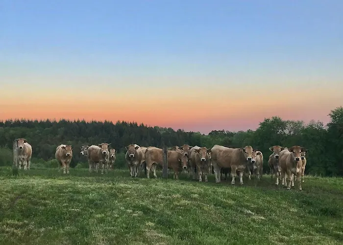 The Grange In Cantal Hébergement de vacances