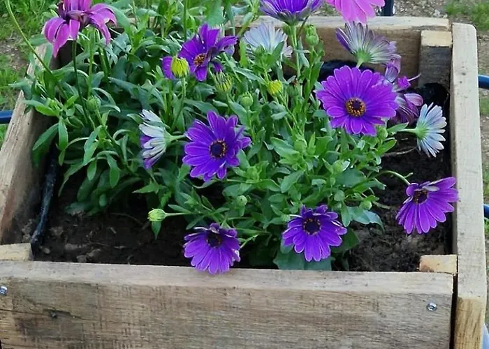 Hébergement de vacances The Grange In Cantal